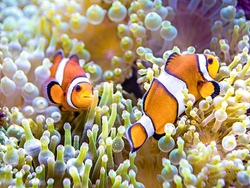 Tropenaquarium Hagenbeck