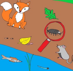 Kinderworkshop " Abenteuer Tierwelt"