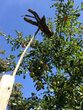 Herbstferien auf dem Abenteuerspielplatz Buntspecht