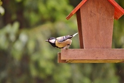 Holzwerkstatt: Vogelhäuschen & Co