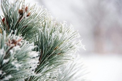 Ferienfreu(n)de - Winter 2027