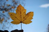 Herbstferien