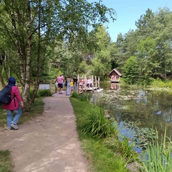 Sommerferienspiele im Carl-Sonnenscheinhaus