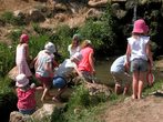 Wasser, Pflanzen und Tiere an der Rott
