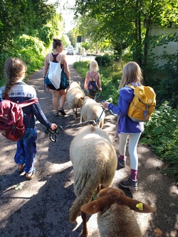 Ostern Schaf/Ziegengruppe - Anmeldung ab 12.01.2026 (18:00 Uhr) Anmeldung bis 14:00 oder 16:00 Uhr möglich.