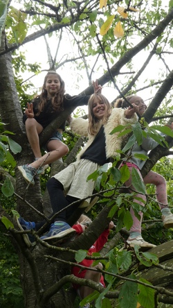 Sommer 1. Ferienwoche / Findus Gartenwerkstatt- Anmeldung ab 13. April 26 (18:00 Uhr)