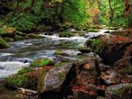 Leichte "Wildwasser-Kanutour" auf der Luhe