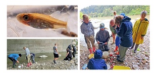Das Leben am und im Wasser - Abenteuer Angeln