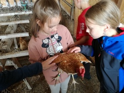 Ein Nachmittag am Bauernhof