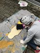 Ich will Action - Longboard Camp