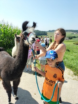 Lamatrekking