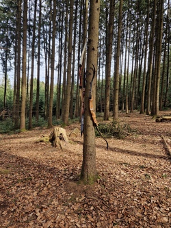 Bogenschie&szlig;en im Bogenpark Hohenkammer - Einf&uuml;hrung und Schnuppern f&uuml;r Anf&auml;nger (Osterferien)
