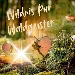 Wildnis Pur - WaldGeister