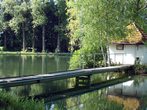 Mehr als Fische fangen - ein Tag mit den Anglerfreunden Urbach / 10,- Euro vor Ort zu bezahlen
