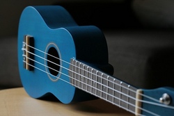 How to play UKULELE – Saitenspaß von Beginn an 