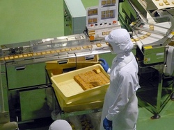 Betriebsbesichtigung Confiserie Dengel