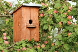 Wohnung für den Stachelritter und Futterstation für den Gartenvogel, Cadenberge