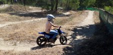 Motocross beim MC Stollhofen (1)