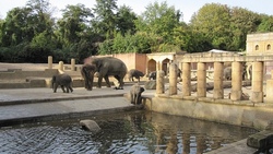Erlebniszoo Hannover