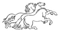 S - Ferienreitkurs 