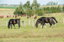 Rundgang auf dem Bauernhof