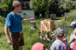 Die Welt der Bienen erkunden