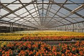 Rallye durch die G&auml;rtnerei