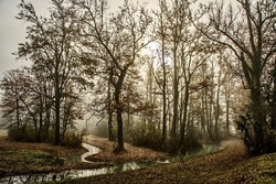 Bachwanderung 