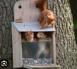 Bau dir ein Futterhaus f&uuml;r Eichh&ouml;rnchen
