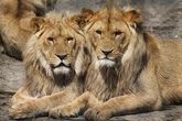 Erlebnis-Zoo Hannover 