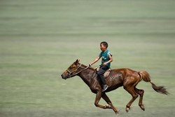 Schnupperkurs Reiten mit Vorkenntnissen f&uuml;r Fortgeschrittene