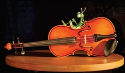 Kindertheater - &bdquo;Die Fidelgrille und der Maulwurf&ldquo; - Frei nach Janosch