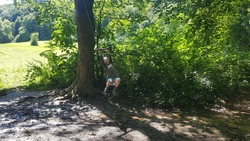 Sommer 3. Ferienwoche Wald- und Erlebnisprogramm - Anmeldung ab 13. April 26 (18:00 Uhr) 