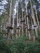 Waldseilgarten Klette am Ette I