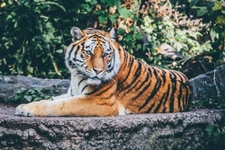 Rostocker Zoo