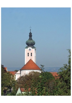 Wir steigen Maria auf`s Dach!