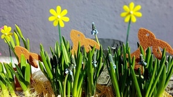  Filzen II / Filzblumen