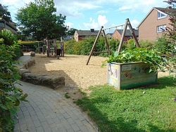 Forschen und Experimentieren