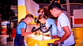 Sauer macht lustig - Labor und Ausstellung II