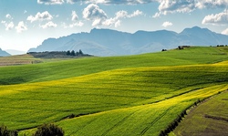 Landwirtschaft Erleben