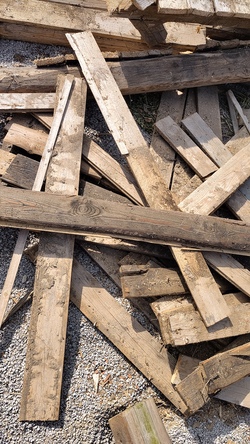 Auf Buchstabensuche in der Natur