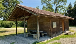 Die Affen rasen durch den Wald