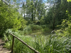 Heimische Natur erleben - im Salus Auwald-Biotop