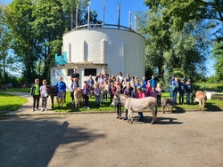 Wandern mit den Staufer Eseln