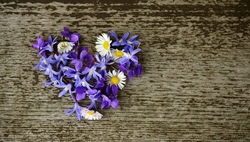 Kreative Bilder aus und mit Naturmaterialien