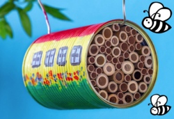 Wir bauen Insekten-Dosen