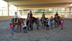 Reiten f&uuml;r Anf&auml;nger-Nachmittag