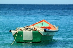Paddelboot-Rennen auf der Strogn