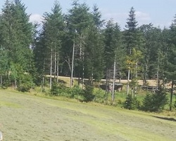 Schnitzeljagd rund um den Erlenhof