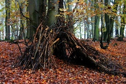 "Survival" - &Uuml;berleben im Wald